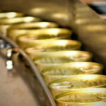 تاریخ تولید تن ماهی