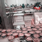 فروش عمده کنسرو تن ماهی